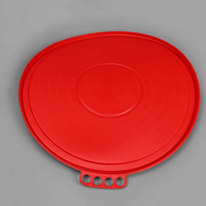 Бак пищевой «Для солений», 45 л, с герметичной крышкой, цвет МИКС - фото 1890612456