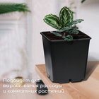 Горшок для рассады, 11 л, d=25 см, h=26 см, чёрный 9377702 - фото 16360718