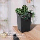 Горшок для рассады, 7 л, 21×21×27.5 см, чёрный - Фото 3