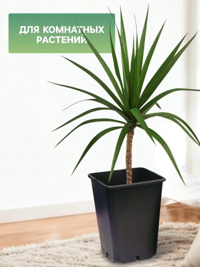 Горшок для рассады, 7 л, 21×21×27.5 см, чёрный