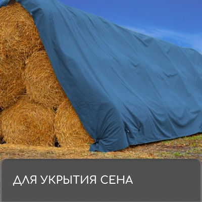Тент защитный, 4×3 м, плотность 60 г/м², УФ, люверсы шаг 1, тарпаулин, синий