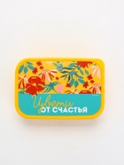 Ланч - бокс прямоугольный «Цвети от счастья», 1200 мл - Фото 5