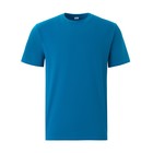 Футболка мужская MINAKU REGULAR FIT: цвет бирюза, р-р 50 - Фото 5
