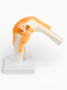 Анатомическая модель «Макет коленного сустава», 32×12×12 см 9278882