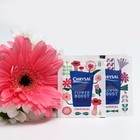 Универсальная подкормка для срезанных цветов Chrysal 5 г, набор 100 шт - Фото 1