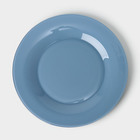 Тарелка плоская «Дымчатый аметист», d=25 см, цвет синий - фото 319176108