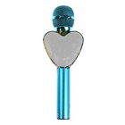 Микрофон для караоке Q5, 3 Вт, 1800 мАч, Bluetooth, FM, microSD, синий - фото 51458663 Микрофон для караоке Q5, 3 Вт, 1800 мАч, Bluetooth, FM, microSD, синий - фото 51458663