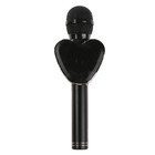 Микрофон для караоке Q5, 3 Вт, 1800 мАч, Bluetooth, FM, microSD, чёрный - фото 51458673 Микрофон для караоке Q5, 3 Вт, 1800 мАч, Bluetooth, FM, microSD, чёрный - фото 51458673
