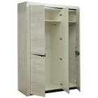 Шкаф 3-х дверный для одежды «Лючия» 33.02, 1528 × 580 × 2300 мм, бетон пайн белый / венге - Фото 2