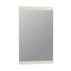 Зеркало навесное «Лючия» 33.13-01, 1000 × 20 × 600 мм, цвет бетон пайн белый - фото 109913189