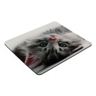 Коврик для мыши VS "Cat" 5, 194х233х3 мм - фото 51316021