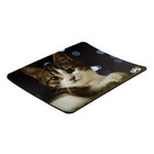 Коврик для мыши VS "Cat" 7, 194х233х3 мм - фото 51316031 Коврик для мыши VS "Cat" 7, 194х233х3 мм - фото 51316031