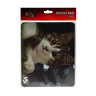 Коврик для мыши VS "Cat" 7, 194х233х3 мм - фото 51316033 Коврик для мыши VS "Cat" 7, 194х233х3 мм - фото 51316033
