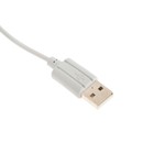Мышь Gembird MOP-410-GRN, проводная, оптическая, 1600 dpi, USB, розовая - фото 51306709 Мышь Gembird MOP-410-GRN, проводная, оптическая, 1600 dpi, USB, розовая - фото 51306709
