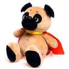 Мягкая игрушка «Собака Мопс», в накидке, 25 см - фото 3228227