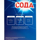 Сода кальцинированная Bionix, 600 гр - Фото 2