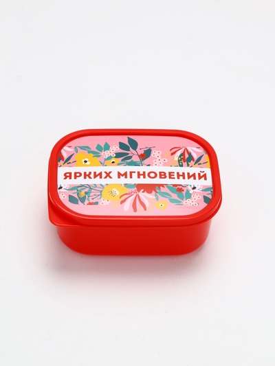 Ланч бокс прямоугольный «Ярких мгновений», 500 мл