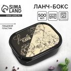 Ланч - бокс прямоугольный Favorite flavor, 500 мл - Фото 1