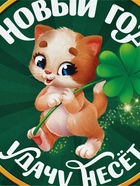 Ланч - бокс новогодний «Новый год удачу несет», 500 мл - Фото 4