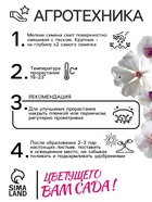 Семена Алтей лекарственный "Целитель", 0,2 г 9359206 - фото 16243037
