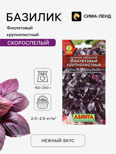 Семена Базилик овощной «Фиолетовый крупнолистный», 0.1 г, «Аэлита»