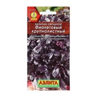 Семена Базилик овощной «Фиолетовый крупнолистный», 0.1 г, «Аэлита» - Фото 3