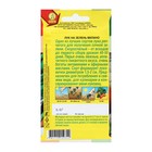 Семена Лук на зелень "Милано", 0,5 г - Фото 2