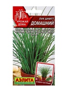 Семена Лук шнитт «Домашний», 0.3 г - Фото 1