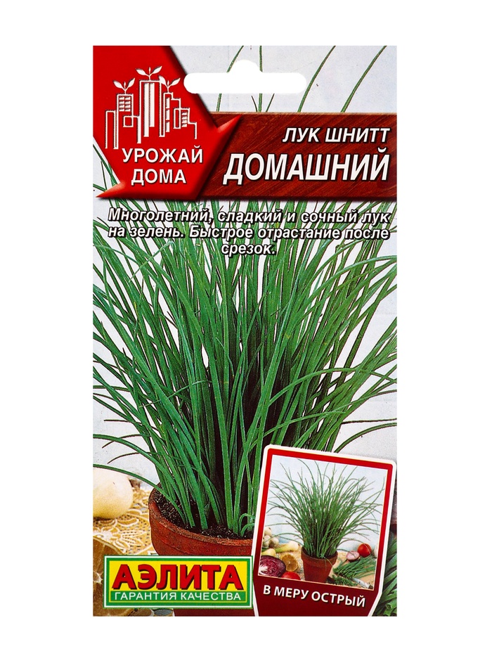 Семена Лук шнитт «Домашний», 0.3 г - Фото 1