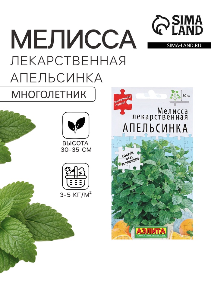 Семена Мелисса лекарственная «Апельсинка», 5 шт., «Аэлита» - Фото 1