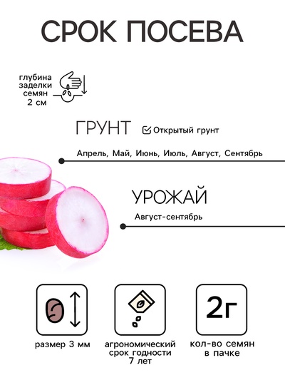 Семена Редис «Красный гигант», серия «Лидер», 2 г, «Агрофирма АЭЛИТА»