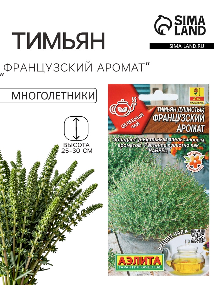 Семена Тимьян «Французский аромат», серия «целебный чай», 10 шт., «АЭЛИТА» - Фото 1