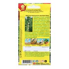 Семена Фасоль вьющаяся "Желтая река", 5 г - Фото 2