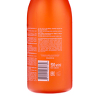 Шампунь для волос Bielita Сила Гиалурона «Термальная реконструкция», с маслом чиа, 500 мл - фото 24617126