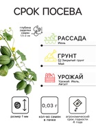Семена Мелотрия (мышиная дыня) «Микки», 0.03 г, «Аэлита» - Фото 2