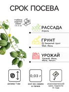 Семена Мелотрия (мышиная дыня) «Полосатик», 0.03 г, «Аэлита» - Фото 2
