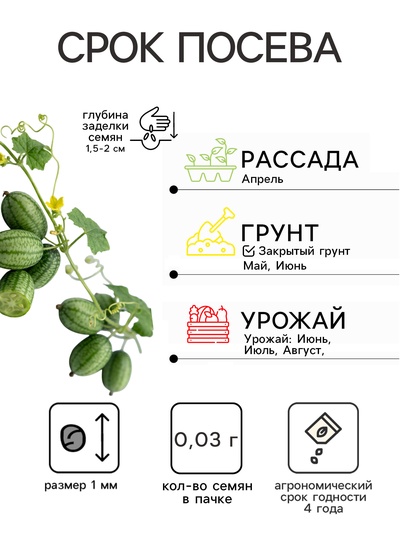 Семена Мелотрия (мышиная дыня) «Полосатик», 0.03 г, «Аэлита»