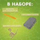 Набор для раскопок «Раскопай динозавра» - Фото 2