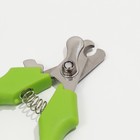 Когтерез боковой малый эконом, 12 х 4,5 х 1,4 см, светло-зеленый - Фото 2