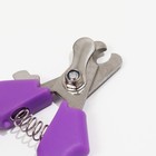 Когтерез боковой малый эконом, 12 х 4,5 х 1,4 см, фиолетовый - Фото 2