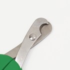 Ножницы-когтерезы большие с упором для пальца, 15,4 х 7 х 0,5 см, эконом, микс цветов - фото 6762587