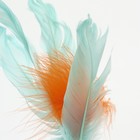 Игрушка-неваляшка «Перьевой фонтан» для кошек, 20 см, микс цветов - Фото 2