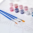 Картина по номерам с подрамником «Анна и Эльза», 30×40 см, Холодное сердце - Фото 4