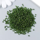 Бисер "Астра"  11/0, 20 гр (55А зеленый/прозрачный с серебрист. центром ( кругл. Отв)) (комплект 10 шт) - фото 28480667 Бисер "Астра"  11/0, 20 гр (55А зеленый/прозрачный с серебрист. центром ( кругл. Отв)) (комплект 10 шт) - фото 28480667