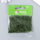 Бисер "Астра"  11/0, 20 гр (55А зеленый/прозрачный с серебрист. центром ( кругл. Отв)) (комплект 10 шт) - фото 28480668 Бисер "Астра"  11/0, 20 гр (55А зеленый/прозрачный с серебрист. центром ( кругл. Отв)) (комплект 10 шт) - фото 28480668