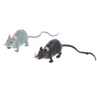 Фигурка животного тянущаяся «Мышка», МИКС - Фото 1