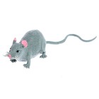 Фигурка животного тянущаяся «Мышка», МИКС - фото 9483466