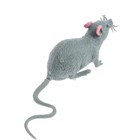 Фигурка животного тянущаяся «Мышка», МИКС - фото 3885951