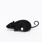 Мышь заводная бархатная, 12 см, чёрная - фото 6764605