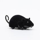 Мышь заводная бархатная, 12 см, чёрная - фото 6764609